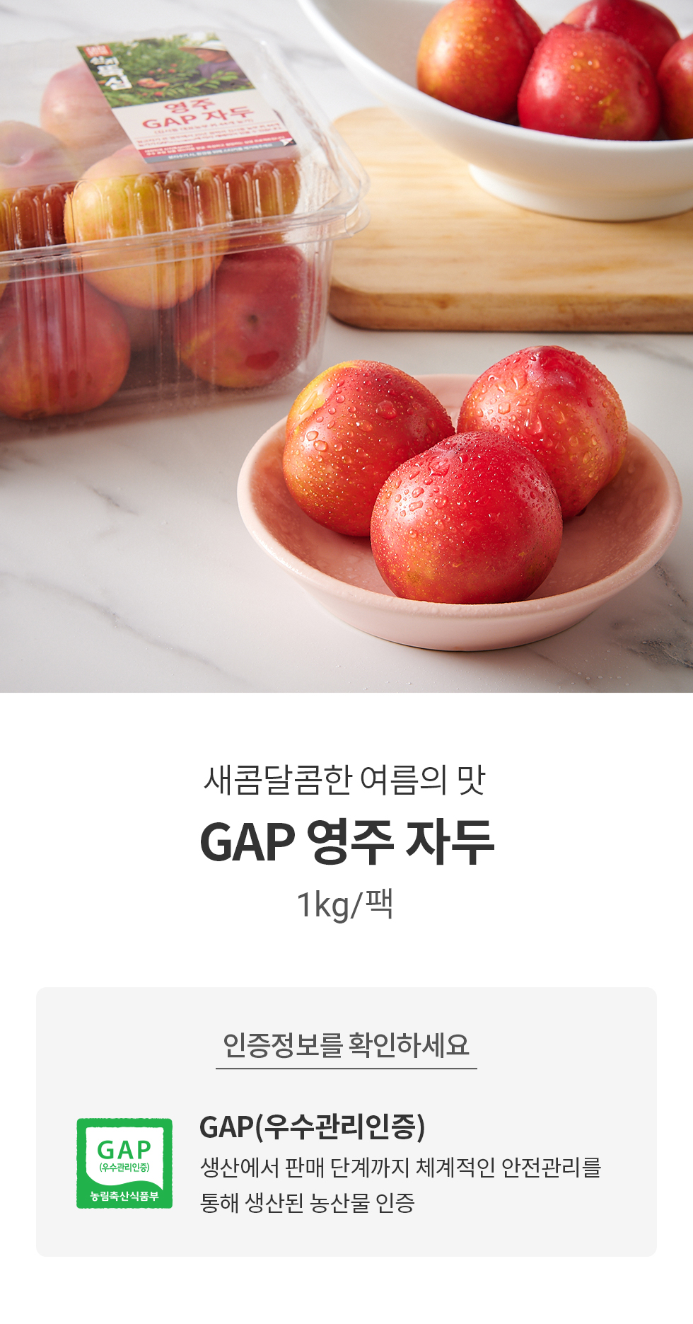 새콤달콤한 여름의 맛 GAP 영주 자두 1kg/팩GAP: 생산에서 판매 단계까지 체계적인 안전관리를 통해 생산된 농산물 인증상품입니다.