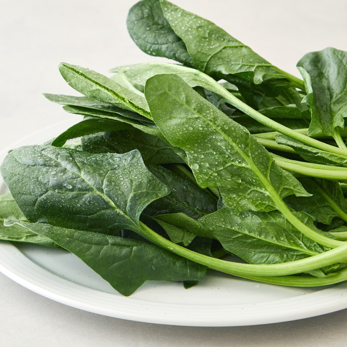 로컬 시금치 (250G/봉)